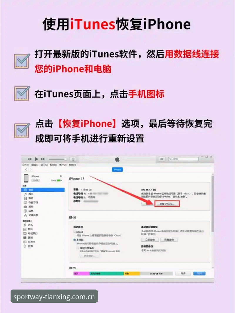 天行体育苹果版安装教程：如何轻松解锁iPhone上的全新赛事体验？